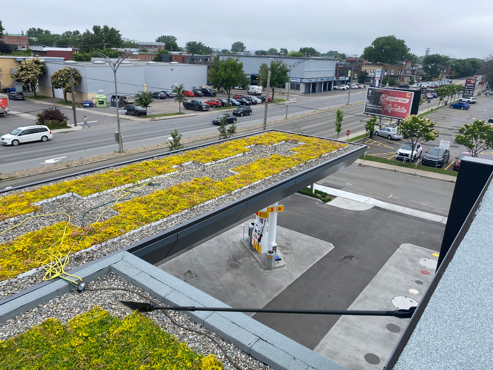 Capitale sécurité financière